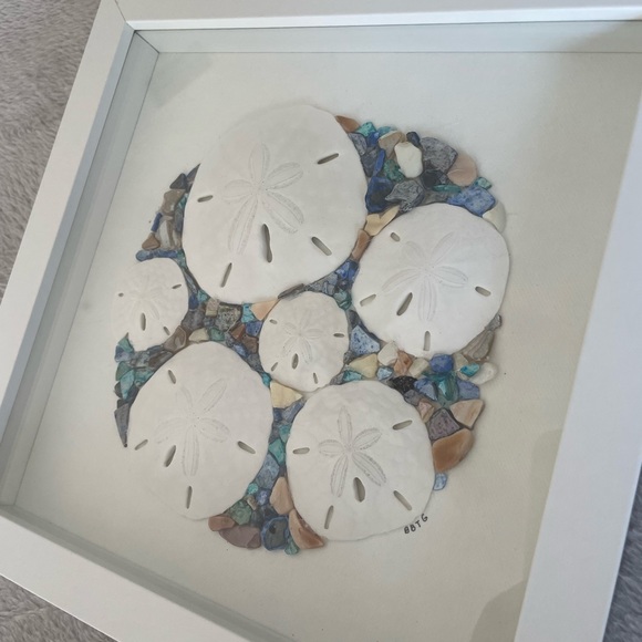 Sand Dollar Collage Beach Tropical Coastal Shadowbox - Picture 5 of 5